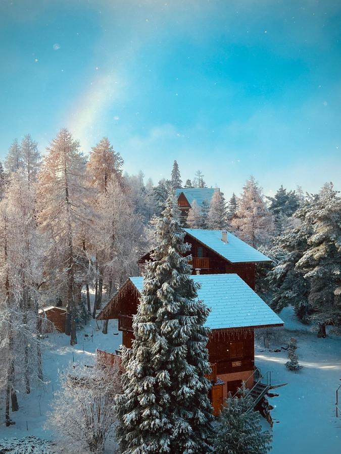 Apartament La Joue Du Loup, Aux Pieds Des Pistes Et Vue Sur Montagnes Zewnętrze zdjęcie